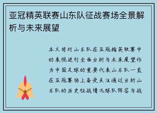 亚冠精英联赛山东队征战赛场全景解析与未来展望